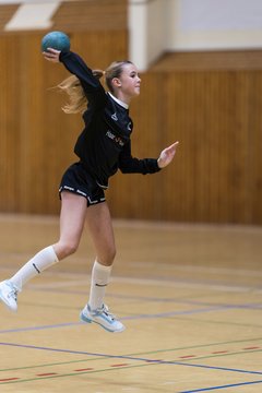 Bild 233 - wBJ TSV Ellerau - HSG Stoertal Hummeln : Ergebnis: 26:19